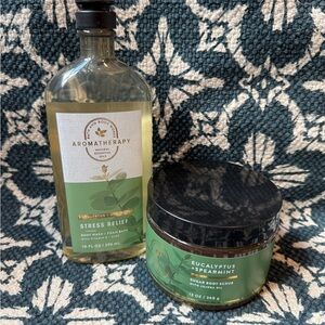 Aromatherapy Stress Relief Eucalyptus Spearmint Body Wash and Sugar Scrub Set